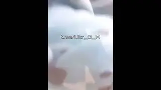 Мобилизация по зеленски 16
