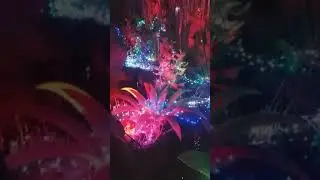 Джунгли в Нурсултане. Казахстан