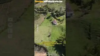 Native 🚀 tokenización inmobiliaria con blockchain ✅