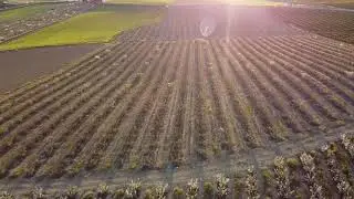 La Retama - Mavic Mini #djimavicmini