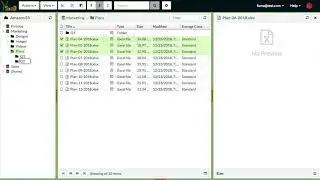 Drag'n'drop, Cut-copy-paste, rename