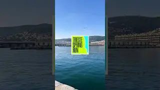 Trieste Spring Run 2023 #shorts | Modern Forms