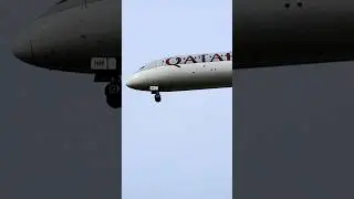 A Qatar airways landing at Frankfurt Airport 
