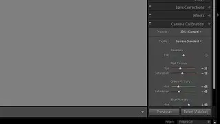 The Sliders Under Camera Calibration In Lightroom