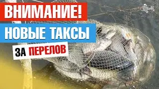 Таксация - штрафы за перелов рыбы: Вопросы одесскому рыбоохранному патрулю. Какая норма вылова рыбы?