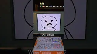 What IS that??? (on the DSi!) 