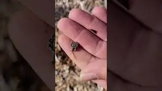 What do you think of this metal detecting find?