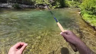 High Mountain Idaho Cutthroat Trout Creek with Ragnarok 400 rod 7/18/2024