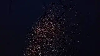 Как правильно сжечь  дерево полностью.Грозный в огне !!!