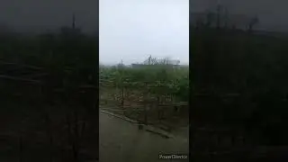 Сегодня в Узбекистане идёт снег
