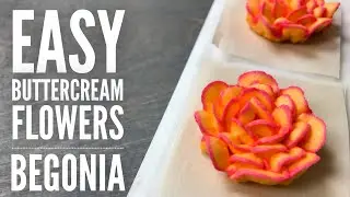 How to pipe a begonia flower - Easy buttercream flower tutorial