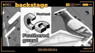 Backstage - Feathered friend / Пернатий друг / Пернатый друг