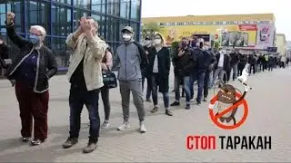 Обращение Ольги Николайчик // 