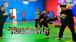 PUNCHING PAD BOX DRILL TENDANGAN PENCAK SILAT || ClubSilatAPI