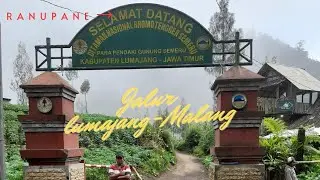 Jalur Alternatif dr lumajang ke malang, lewat ranupane #danauranupane #ngadasmalang #wisatabromo