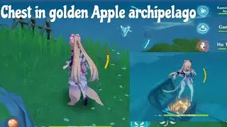 (full video) chest in water new golden Apple archipelago 2.8 genshin impact