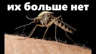 Это средство точно работает! Проверила на себе R