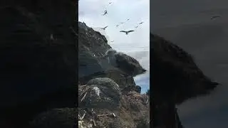 Полное видео смотри на канале. 
