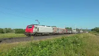 Une journée sur la ligne 1 - Dettwiller & Eckwersheim - 25 juin 2024