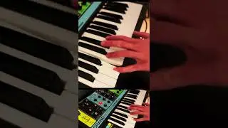 Funky synth baseline #synth #funk #beats #electronicmusic #synthesizer #mooggrandmother