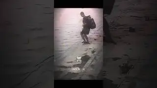 Scuba diver enter the chat ☠️