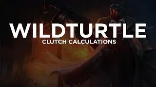 TSM WildTurtle - Clutch Calculations
