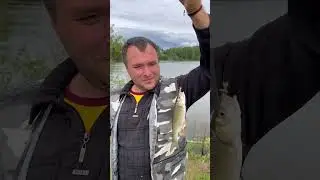 Дуся да Коля, да с Люсечкой Васихой собрались на природу 👌