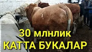 ШАХИДОН Мол Бозори