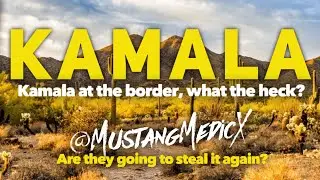 Kamala you’re 4 years late. Are they trying to make it obvious they are going to steal it again?