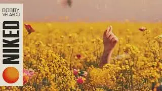 Bobby Velasco - Niked (Vizualizer)
