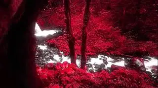 Return to Eden Trailer One