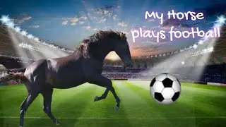 My horse plays football