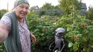 Диана,а ну эту чучундру убирай отсюда!Она мне все огурцы понадкусывала🥒❗