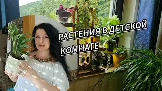 РАСТЕНИЯ В ДЕТСКОЙ КОМНАТЕ #растения #flowers #garden #top #trending #