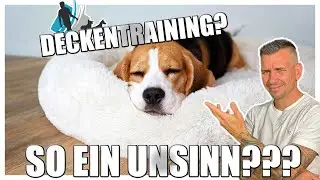 DOGS NEED TO SLEEP! YES OR NO?