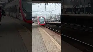 Иволга на станции Водники D1