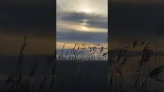 Адыгея