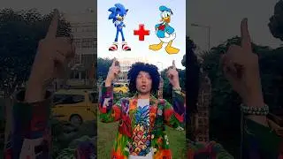 Sonic + Donald Duck = Sonic Animation