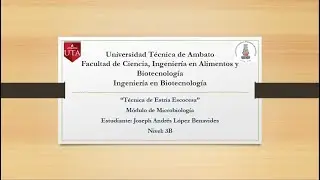 Técnica de estría escocesa
