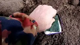 Короткий коп на старом урочище. Осень 2022.