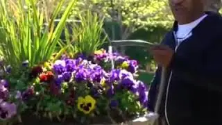 Когда твой сосед Майк Тайсон