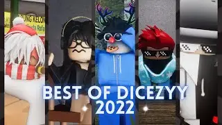 The Best of Dicezyy 2022!