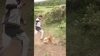 шок сурок боец отбивается от собаки