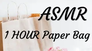 ASMR|No Talking•1 Hour Paper Bag | White Noise for Relaxing，Sleeping，Studying