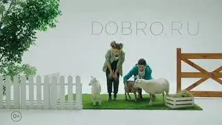 ANIMAL MASTERFILE 20sec Телефон