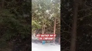 #viral