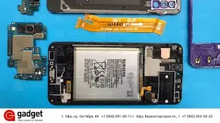Samsung Galaxy A30s разбор / Samsung Galaxy A30s teardown