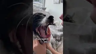 I Wasn't Born to Work!