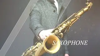 Template Character Intro / Sony Vegas