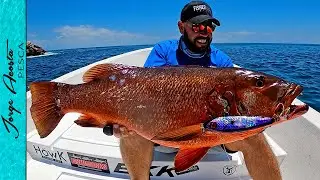 Pesca de PARGOS GIGANTES - Día ÉPICO!!!